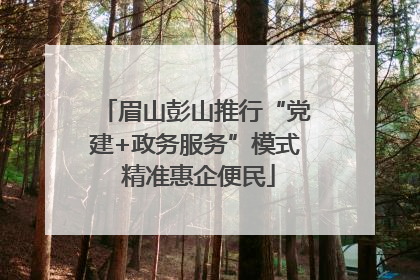 眉山彭山推行“党建+政务服务”模式 精准惠企便民