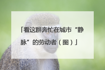 看这群奔忙在城市“静脉”的劳动者（图）