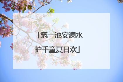 筑一池安澜水 护千童夏日欢