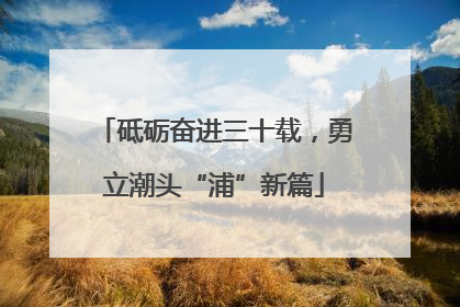 砥砺奋进三十载，勇立潮头“浦”新篇