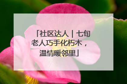 社区达人｜七旬老人巧手化朽木，温情暖邻里
