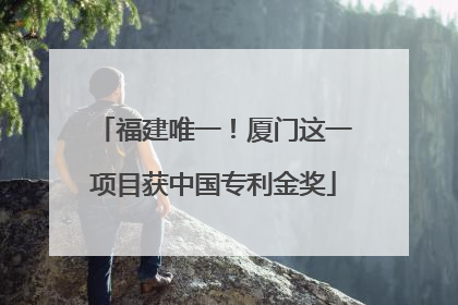 福建唯一！厦门这一项目获中国专利金奖