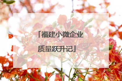福建小微企业质量跃升记