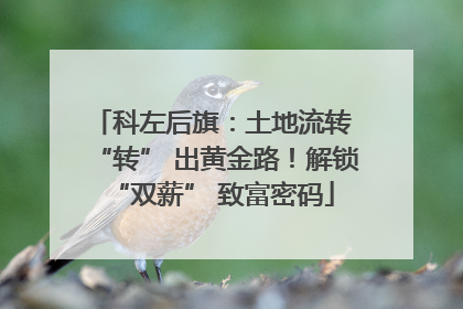 科左后旗：土地流转 “转” 出黄金路！解锁 “双薪” 致富密码