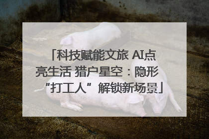 科技赋能文旅 AI点亮生活 猎户星空：隐形“打工人”解锁新场景