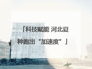 科技赋能 河北夏种跑出“加速度”