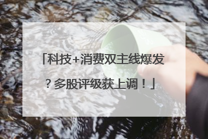 科技+消费双主线爆发？多股评级获上调！
