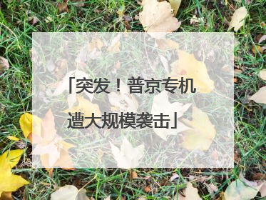 突发！普京专机遭大规模袭击