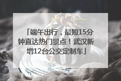 端午出行，最短15分钟直达热门景点！武汉新增12台公交定制车