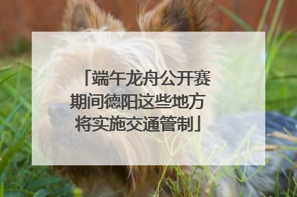 端午龙舟公开赛期间德阳这些地方将实施交通管制