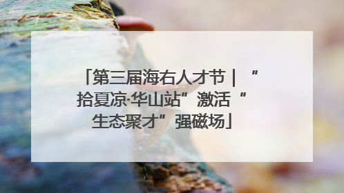 第三届海右人才节｜“拾夏凉·华山站”激活“生态聚才”强磁场