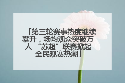 第三轮赛事热度继续攀升，场均观众突破万人 “苏超”联赛掀起全民观赛热潮