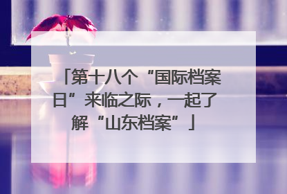 第十八个“国际档案日”来临之际，一起了解“山东档案”