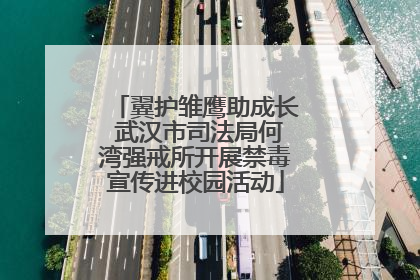 翼护雏鹰助成长 武汉市司法局何湾强戒所开展禁毒宣传进校园活动