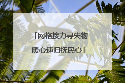 网格接力寻失物 暖心速归抚民心