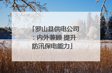 罗山县供电公司：内外兼顾 提升防汛保电能力
