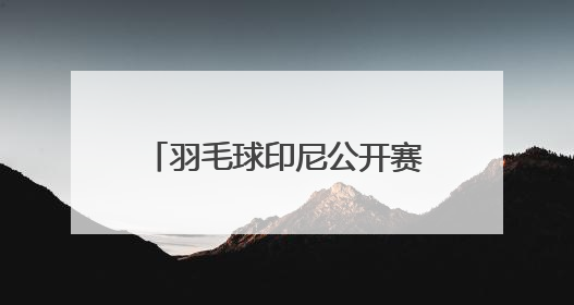 羽毛球印尼公开赛｜王祉怡不敌安洗莹 获得女单亚军