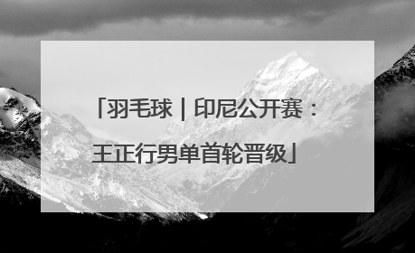 羽毛球｜印尼公开赛：王正行男单首轮晋级