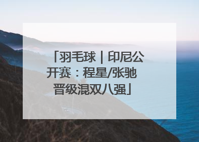 羽毛球｜印尼公开赛：程星/张驰晋级混双八强