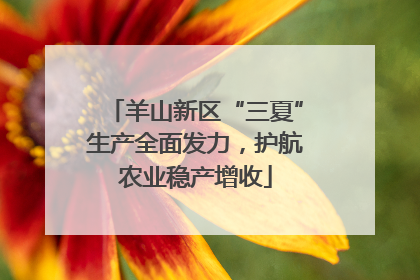 羊山新区“三夏”生产全面发力，护航农业稳产增收