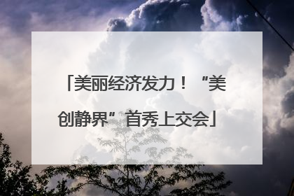 美丽经济发力！“美创静界”首秀上交会