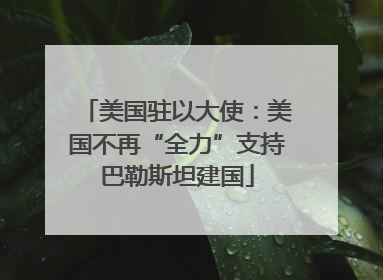 美国驻以大使：美国不再“全力”支持巴勒斯坦建国