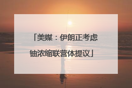 美媒：伊朗正考虑铀浓缩联营体提议