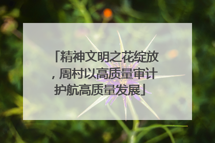 精神文明之花绽放，周村以高质量审计护航高质量发展