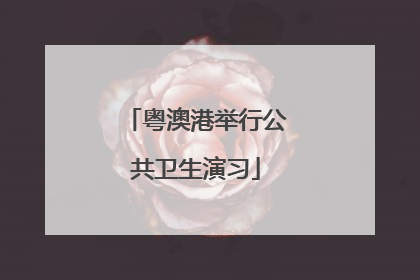 粤澳港举行公共卫生演习