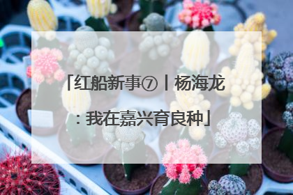 红船新事⑦丨杨海龙：我在嘉兴育良种