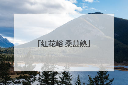 红花峪 桑葚熟