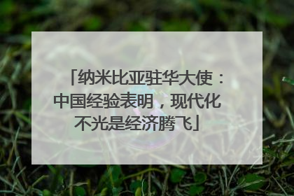 纳米比亚驻华大使：中国经验表明，现代化不光是经济腾飞