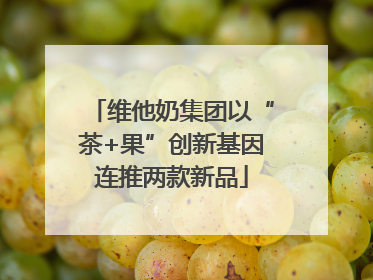 维他奶集团以“茶+果”创新基因连推两款新品