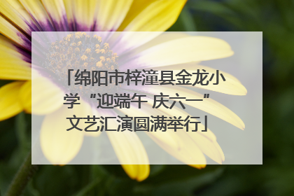 绵阳市梓潼县金龙小学“迎端午 庆六一”文艺汇演圆满举行