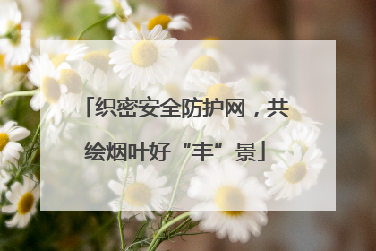 织密安全防护网，共绘烟叶好“丰”景