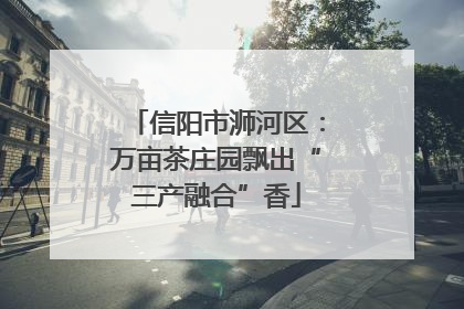 信阳市浉河区：万亩茶庄园飘出“三产融合”香