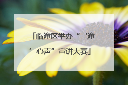 临潼区举办“‘潼’心声”宣讲大赛
