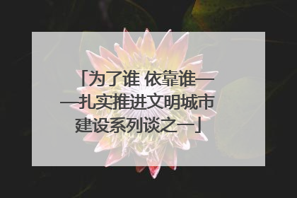 为了谁 依靠谁——扎实推进文明城市建设系列谈之一