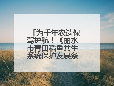 为千年农遗保驾护航！《丽水市青田稻鱼共生系统保护发展条例》正式施行