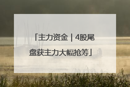 主力资金｜4股尾盘获主力大幅抢筹