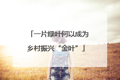 一片绿叶何以成为乡村振兴“金叶”