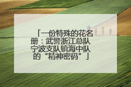 一份特殊的花名册：武警浙江总队宁波支队镇海中队的“精神密码”