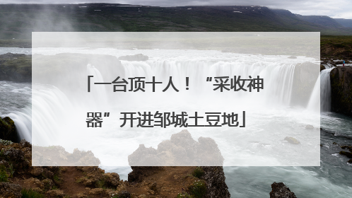 一台顶十人！“采收神器”开进邹城土豆地