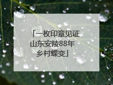 一枚印章见证山东安陵88年乡村蝶变