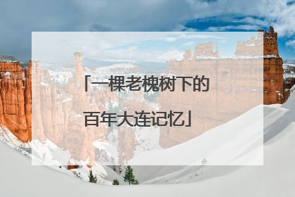 一棵老槐树下的百年大连记忆