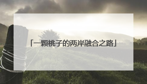 一颗桃子的两岸融合之路