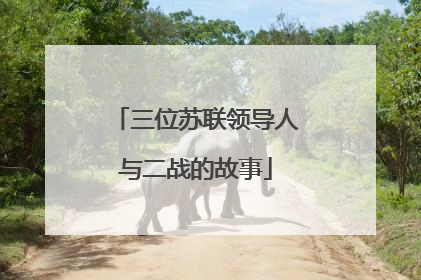 三位苏联领导人与二战的故事
