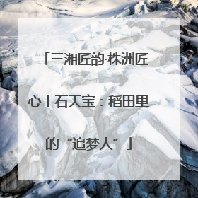 三湘匠韵·株洲匠心丨石天宝：稻田里的“追梦人”