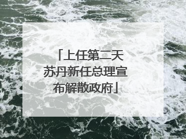上任第二天 苏丹新任总理宣布解散政府