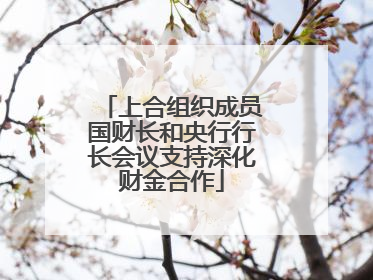 上合组织成员国财长和央行行长会议支持深化财金合作